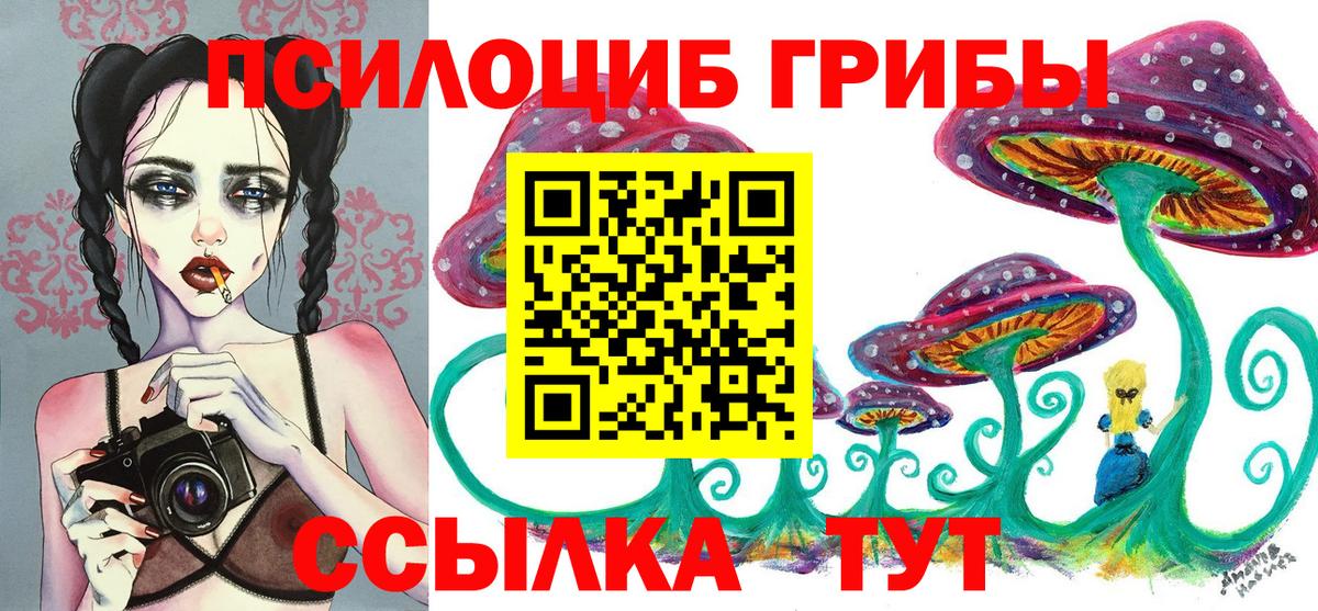 Кашира  купить наркотик  Вход с VPN  Псилоцибиновые грибы Cubensis  Псилоцибиновые грибы Psilocybine cubensis 